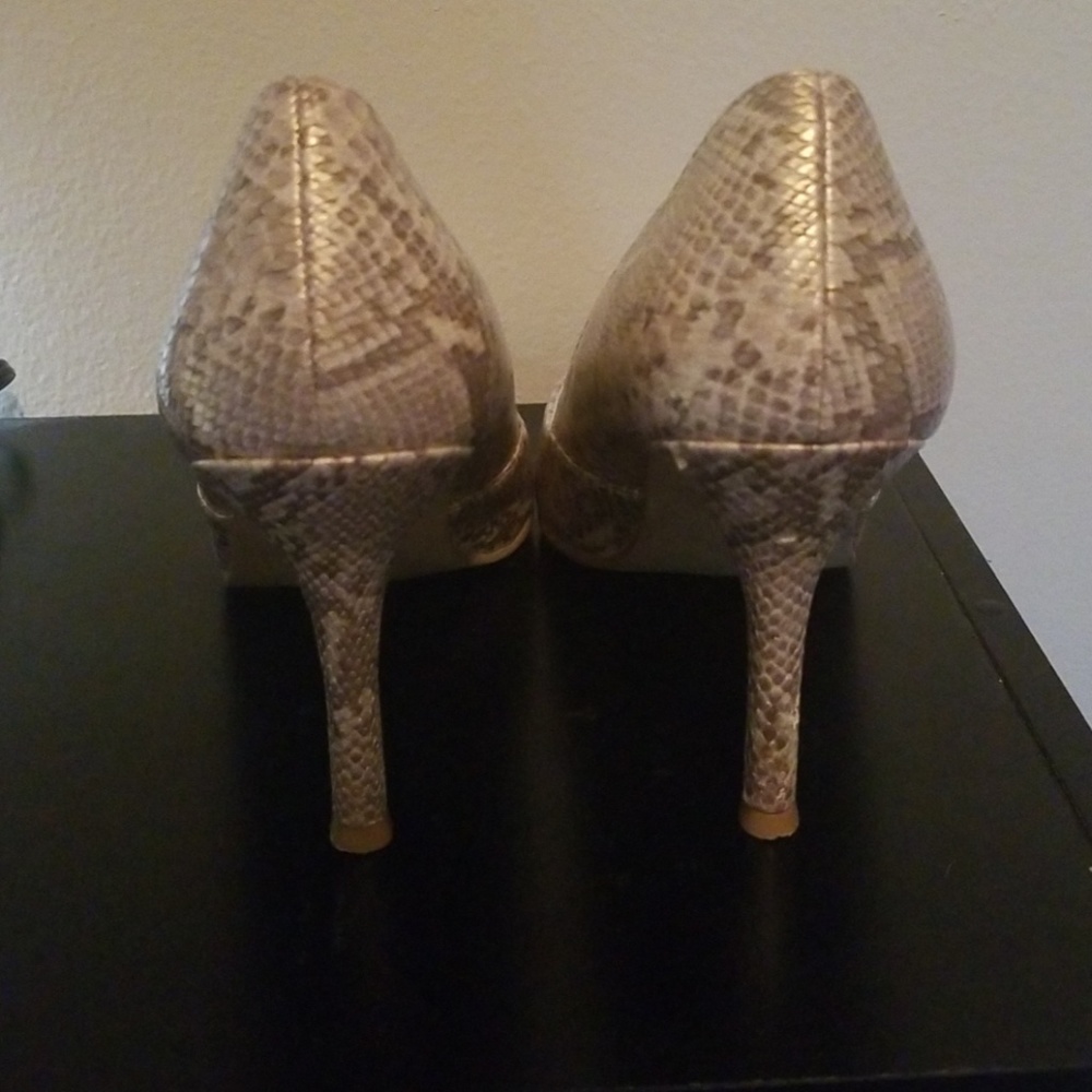 Gold Rampage Snake Skin - Picture 3 of 3